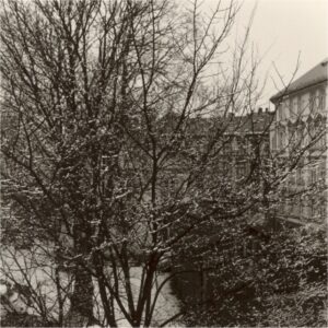 Stensberggata-300x300
